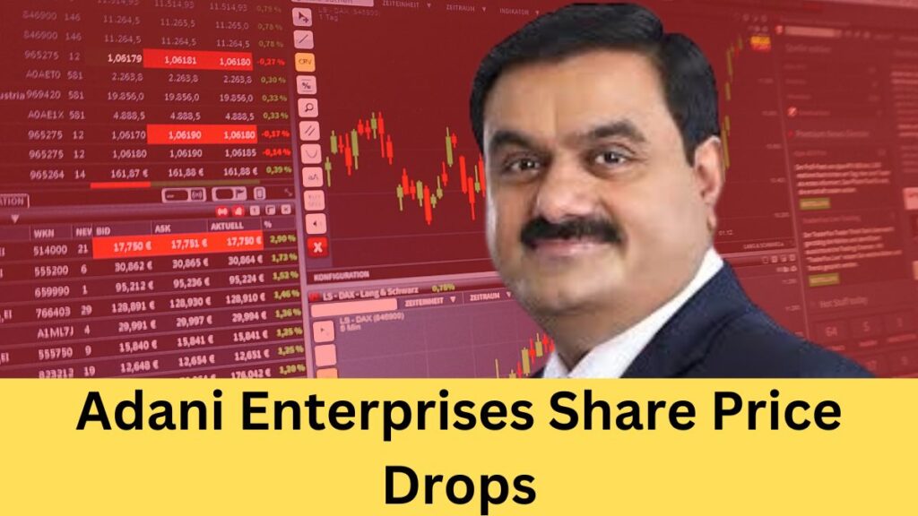 adani Enterprises Share Price Drops